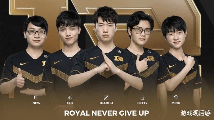 毛球精英培 毛球精英培